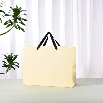 Fashion Simple Clothing Store Packaging Paper Shopping Bag