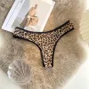 Yellow Leopard