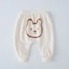 Apricot Bear Head