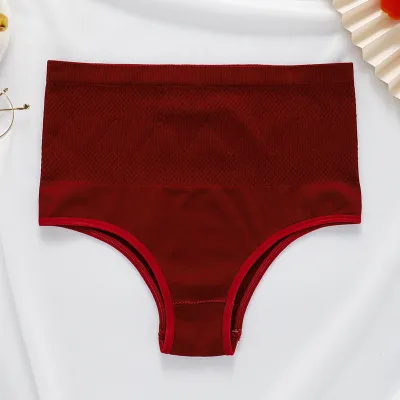 Women Simple High Waist Stretch Briefs