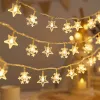 Star Snowflake Mix
