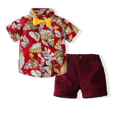 Toddler Boys British Style Floral Short Sleeve Lapel Shirt and Shorts Set for Party Holiday
