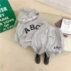 Grey Suit ABC
