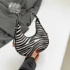 Zebra Paragraph