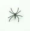 Black Little Spider