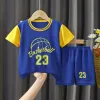 Sleeve Blue No.23