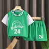 Sleeve Green 24 No.