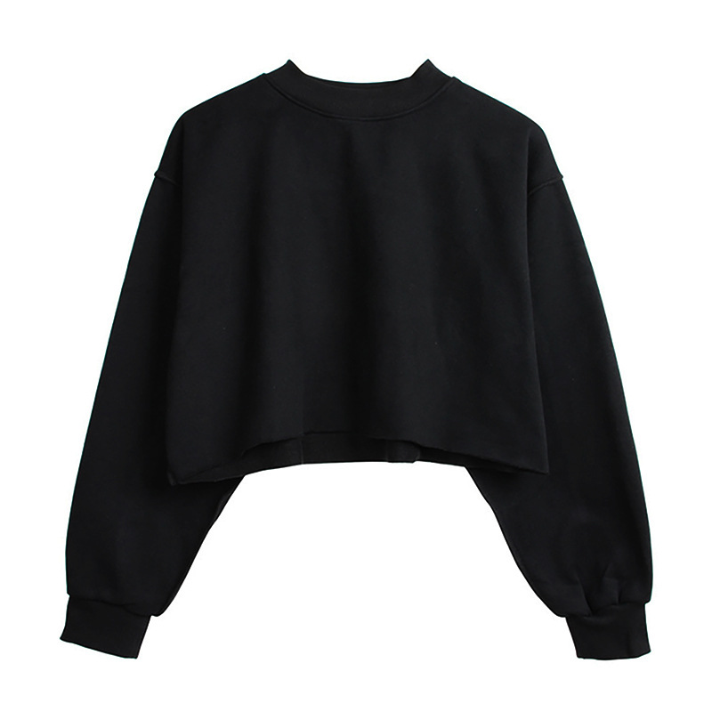 Wholesale Autumn Winter Women Casual Solid Color Round Neck Long Sleeve Crop Blank Sweatshirt