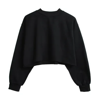 Autumn Winter Women Casual Solid Color Round Neck Long Sleeve Crop Blank Sweatshirt
