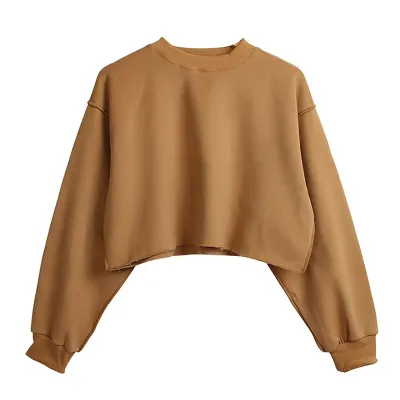 Autumn Winter Women Casual Solid Color Round Neck Long Sleeve Crop Blank Sweatshirt