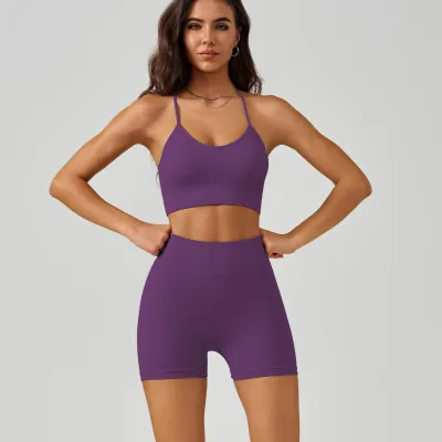 Women Yoga Nylon Sleeveless Bra And Shorts Sports Set
