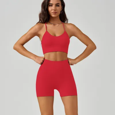 Women Yoga Nylon Sleeveless Bra And Shorts Sports Set