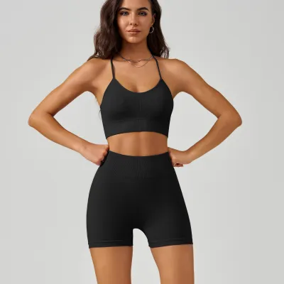 Women Yoga Nylon Sleeveless Bra And Shorts Sports Set