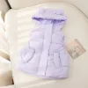 Lavender Purple