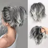 Main Color