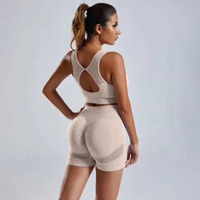 Women Seamless Sexy Back Bra Shorts Yoga Sportswear Set