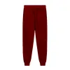 Burgundy Solid Color