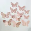 K Rose Gold [12]]