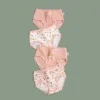 H792/Fruit Series SJ255
