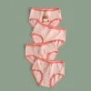H792/Strawberry Girl SJ260
