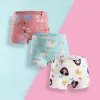 H370/Starfish Mermaid Combo PJ113