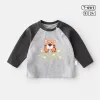 Grey Cute Tiger