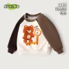Bear Bear