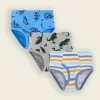 H536/Gray Bottom Green Dinosaur SJ408