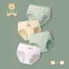 H978/Cute Bear SJ541