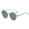 Blue Frame Gray
