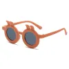 Orange Frame Gray Slice