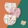 H979/Teddy Bear SJ553