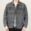 228 Grey