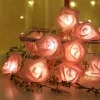 Romantic Pink Rose