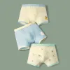 H980/Mini Bear PJ572