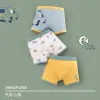 H980/Car Puppy PJ565