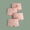 H806/Strawberry Girl SJ284