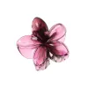 Transparent Purple
