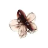 Transparent Brown