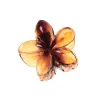 Transparent Orange