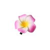 6Cm-Rose