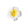 6Cm Pearl-White