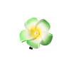 6Cm Pearl-Green