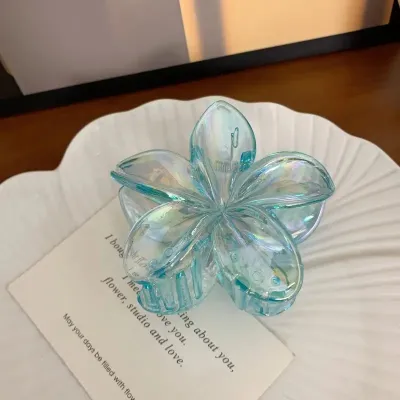Fashion Gradient Floral Hair Clip Simple Commuter Plastic Resin Grip