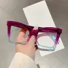 Purple Frame Transparent
