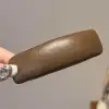 Cortex