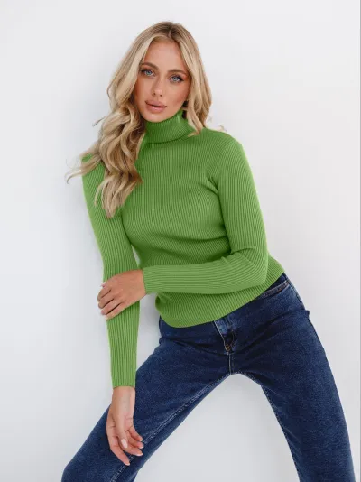 Women's Turtleneck Long Sleeve Solid Color Knitted Pullover Sweater
