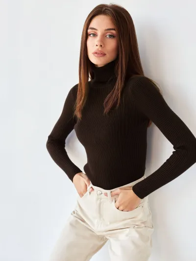 Women's Turtleneck Long Sleeve Solid Color Knitted Pullover Sweater