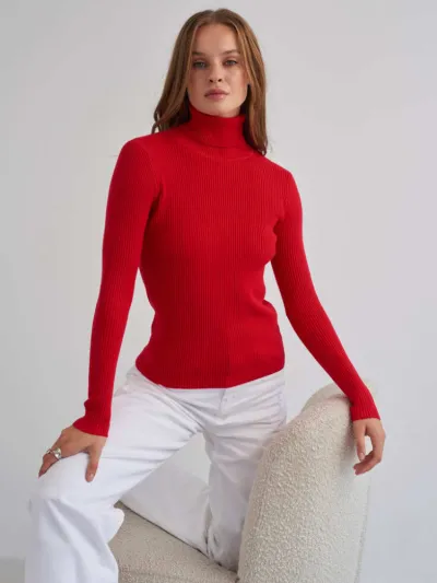 Women's Turtleneck Long Sleeve Solid Color Knitted Pullover Sweater