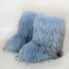 Raccoon-Like Blue